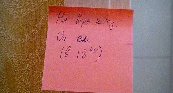 Записки на холодильнике