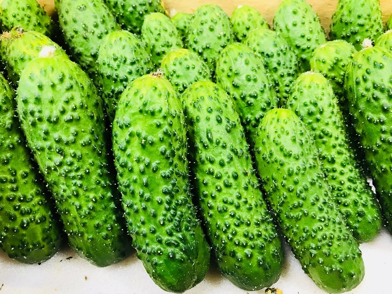Продажа огурцов
