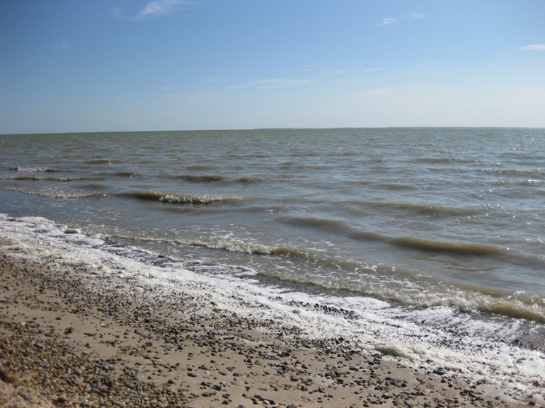 Грязное море во сне
