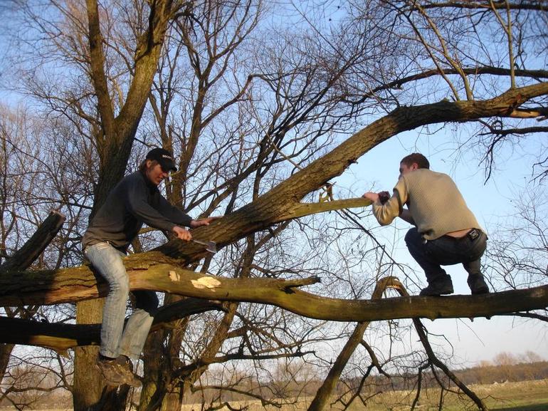 Рубить сук во сне