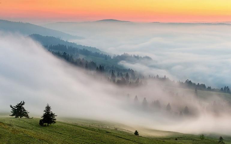 К чему видеть во сне туман