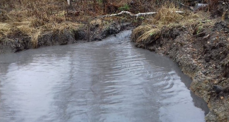Мутная вода