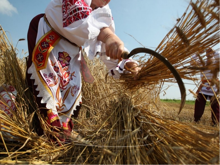 Косить колосья — начало новой жизни, 