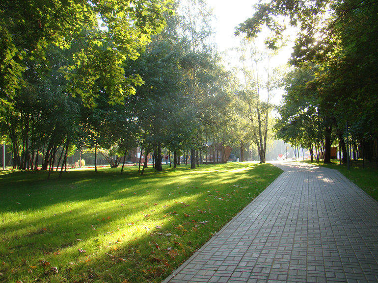 Парк во сне
