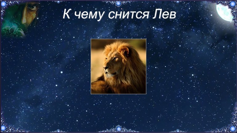 К чему снится львица