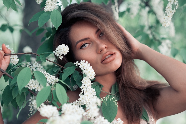 Черёмуха олицетворяет чистоту, невинность и добродетель.