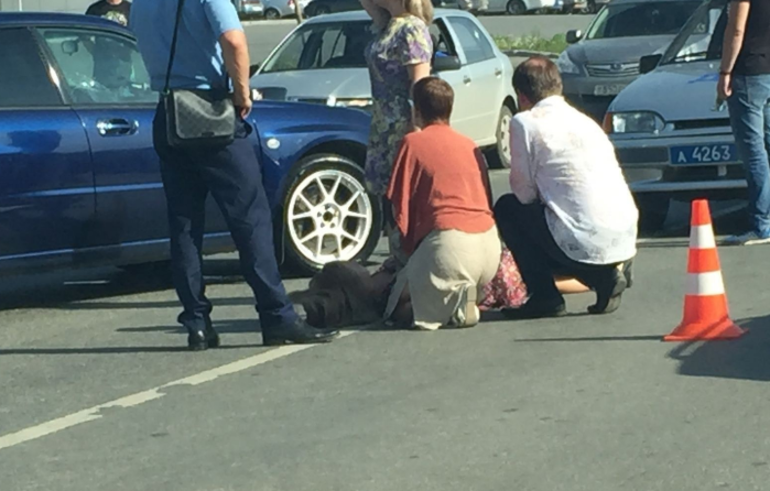 Когда виновницей аварии является женщина,