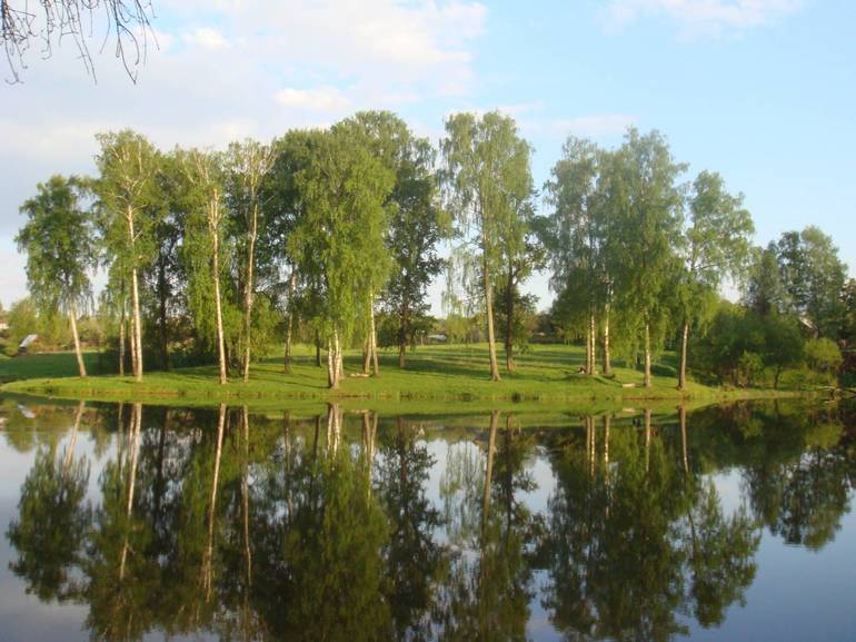 К чему снится пруд 