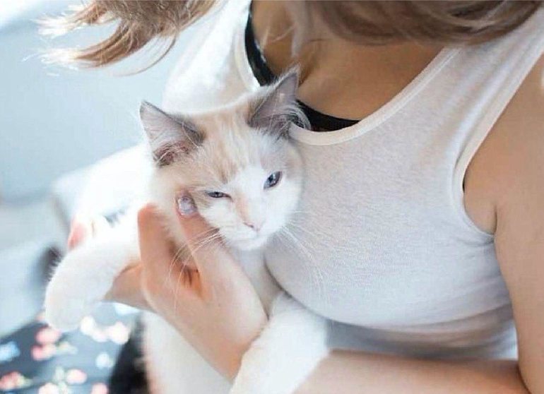 Кормить грудью котенка во сне