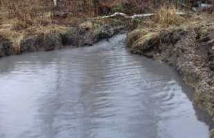 Почему снится мутная вода в реке, озере или дома
